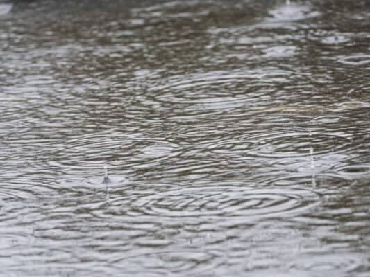 Canales del sector Sarmiento en Curicó presentan desbordes por precipitaciones
