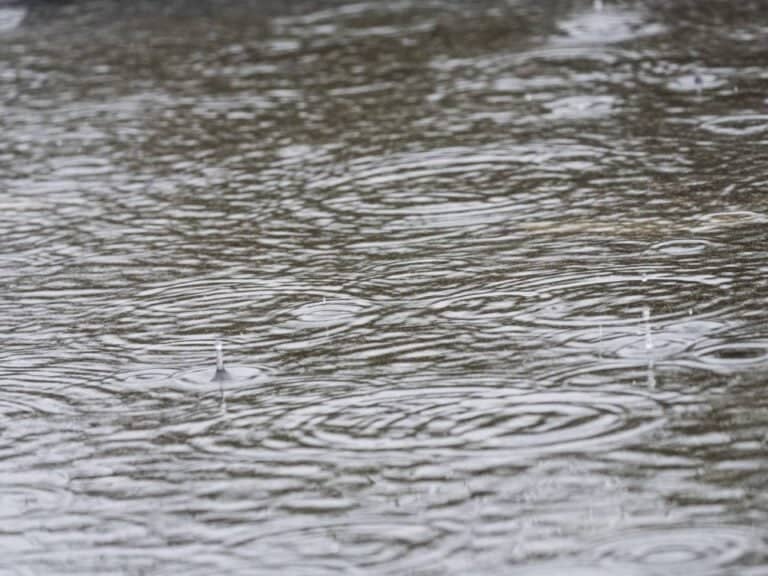 Canales del sector Sarmiento en Curicó presentan desbordes por precipitaciones