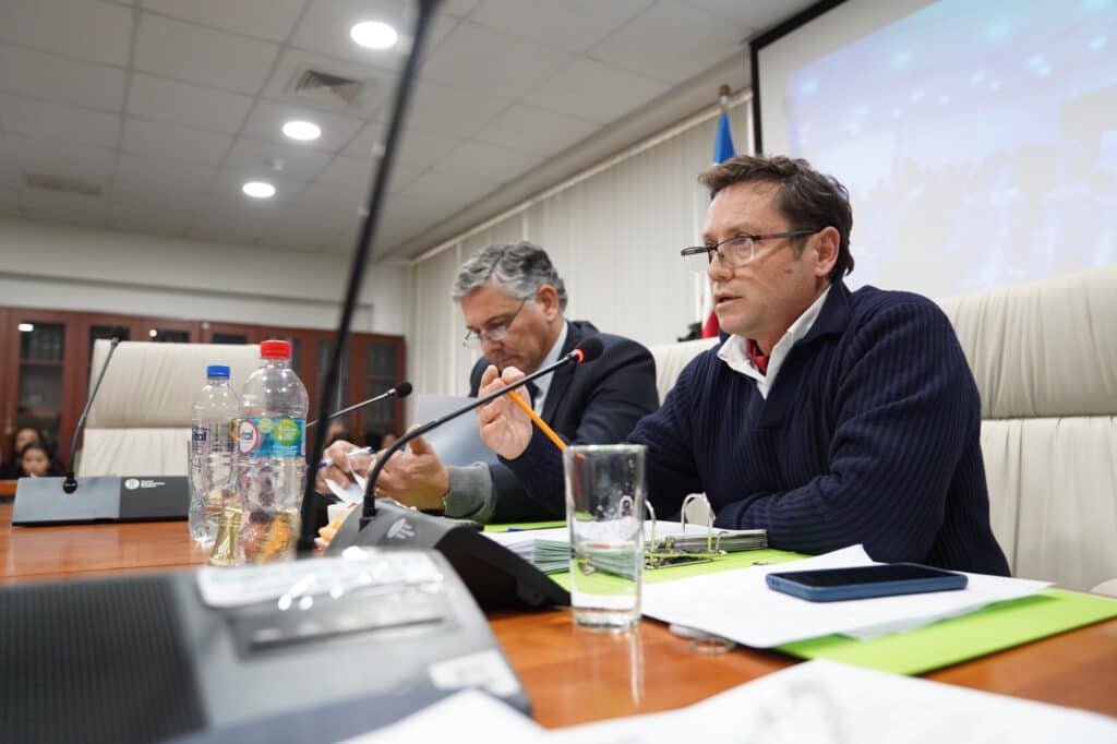 Gobierno del Maule rechaza proyecto de interconexión eléctrica
