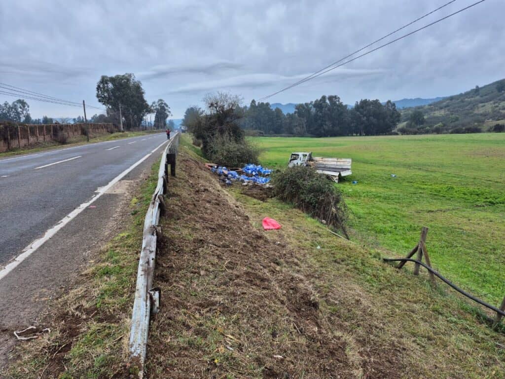Conductor herido tras violento volcamiento de camión en la Ruta J-60 en Hualañé