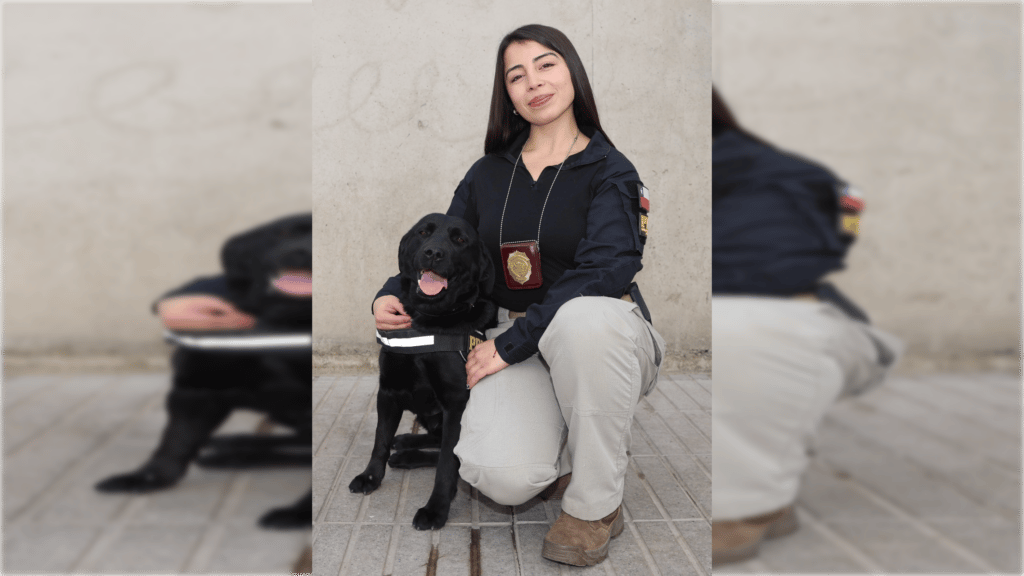 PDI descentraliza la formación de sus agentes policiales con moderno centro en Talcahuano