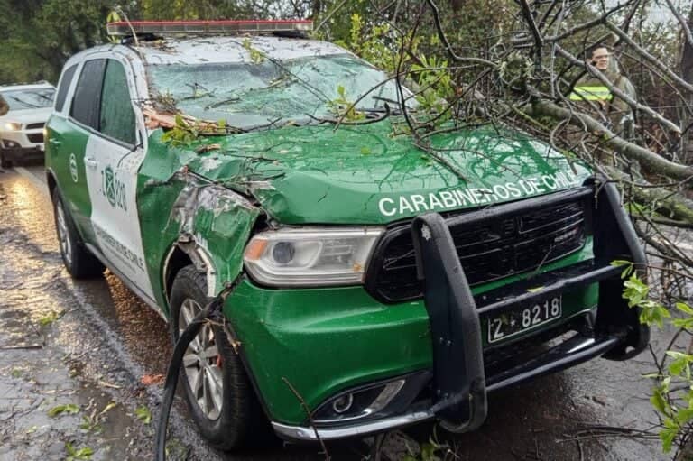 Árbol cae sobre patrulla de Carabineros durante recorrido preventivo en el sector La Hacienda de Teno