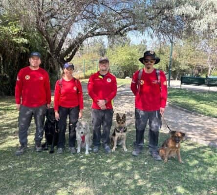 Perros de rescate en Chile se equipan con GPS para optimizar la búsqueda de desaparecidos