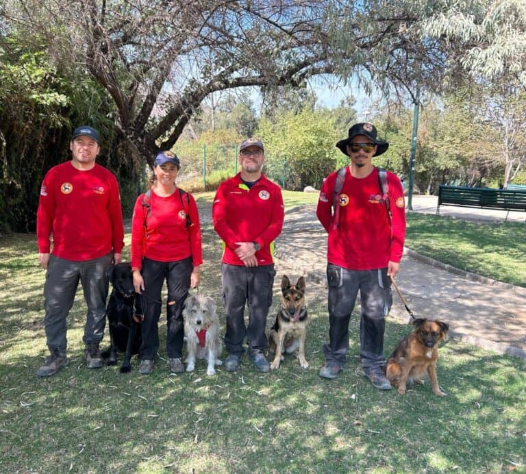 Perros de rescate en Chile se equipan con GPS para optimizar la búsqueda de desaparecidos