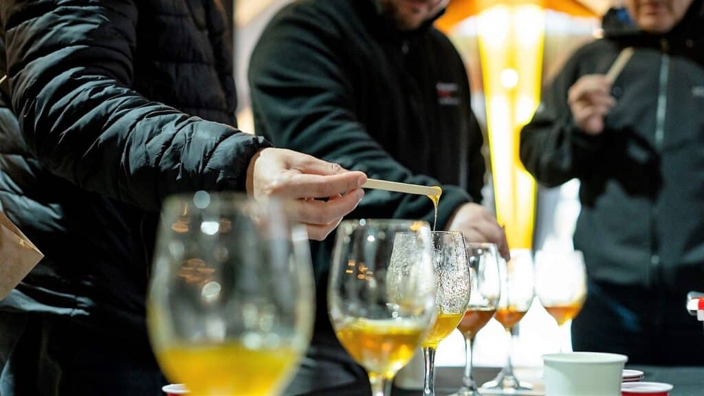 Miel de Licantén se corona como la favorita del público en la masiva Feria Apícola del Maule