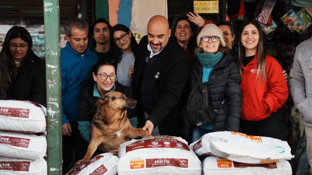 Empresas privadas donan 360 kilos de alimento para perritos comunitarios en Molina
