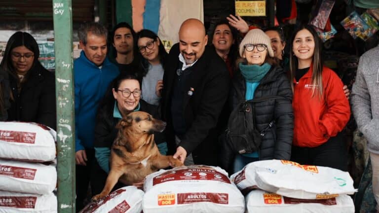 Empresas privadas donan 360 kilos de alimento para perritos comunitarios en Molina