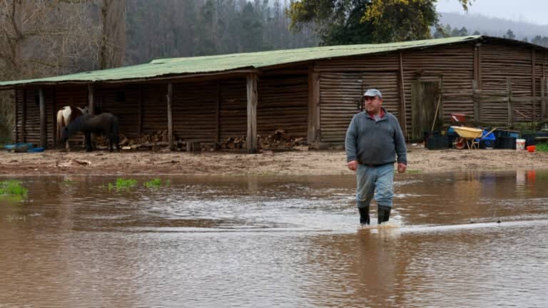 Más de mil agricultores del Maule registran daños productivos y estructurales tras continuos sistemas frontales