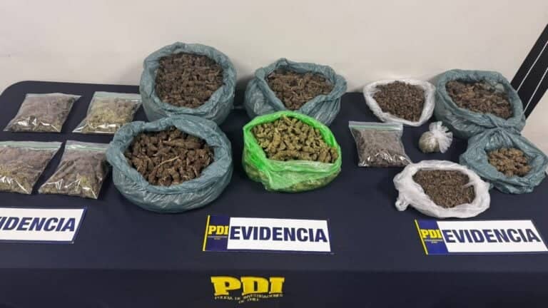 PDI incauta más de 5,7 kilos de droga tras operativos simultáneos en la provincia de Linares