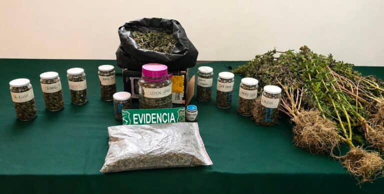 OS7 de Carabineros detiene a sujeto con más de dos kilos de marihuana en San Clemente