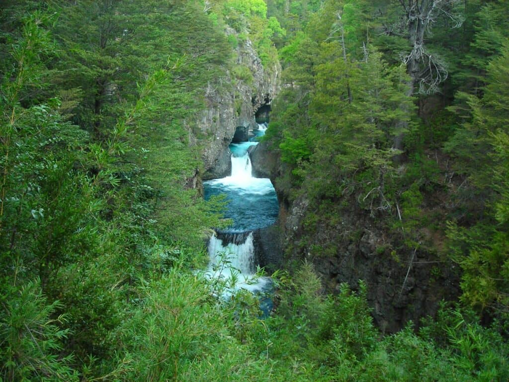 Autoridades de Molina solicitan al Gobierno revocar concesión de empresa privada en el Parque Nacional Radal Siete Tazas