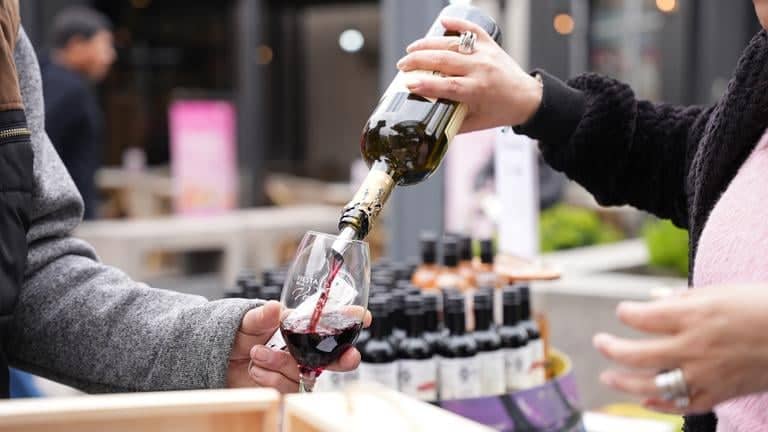 Catando Curicó: Vinos, gastronomía y música en Mall Curicó este fin de semana