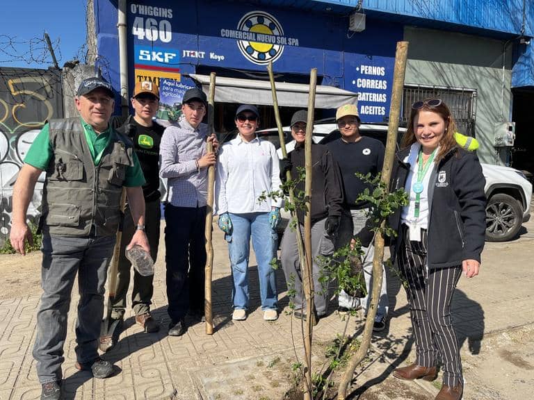 Municipio de Curicó inició tercera etapa de arborización en el casco histórico
