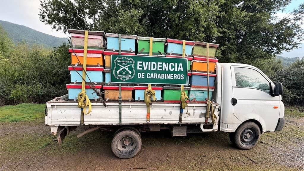 Detienen a tres hombres acusados del robo de 87 colmenas de abejas en la comuna de Teno
