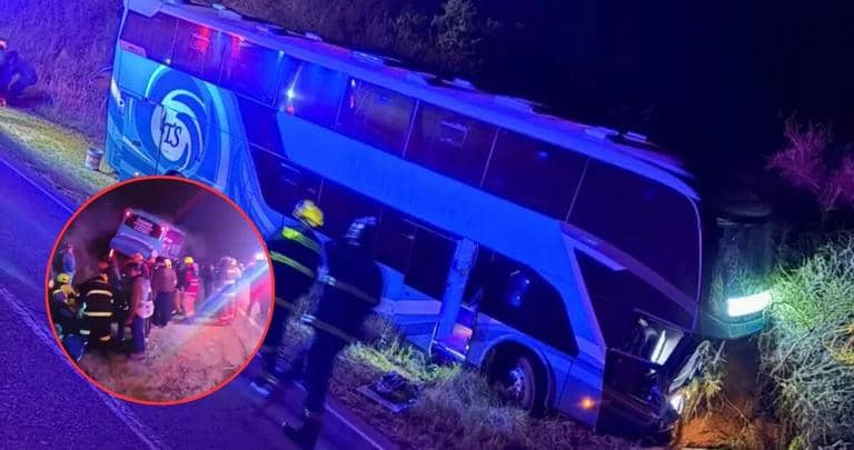 Conductor de bus interurbano fallece tras chocar contra una ladera en la ruta hacia Pichilemu