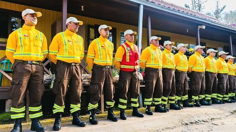 Región del Maule adelanta la implementación de brigadas forestales de la Conaf ante pronóstico de olas de calor