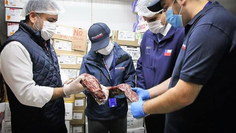Seremi de Salud decomisó cerca de media tonelada de alimentos y cursó 21 sumarios durante Fiestas Patrias en el Maule
