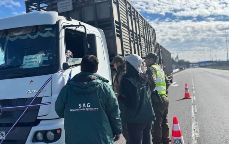 Tras millonario robo de animales: Carabineros despliega amplio operativo preventivo en feria ganadera de Curicó