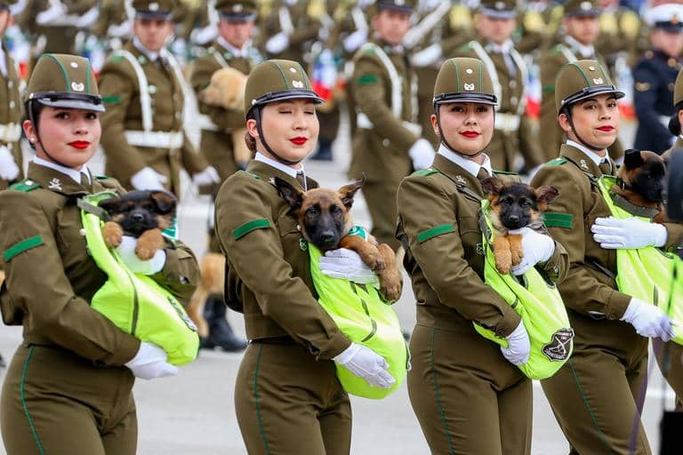 Carabineros invita a los jóvenes de Curicó a participar en el “Día del Postulante”