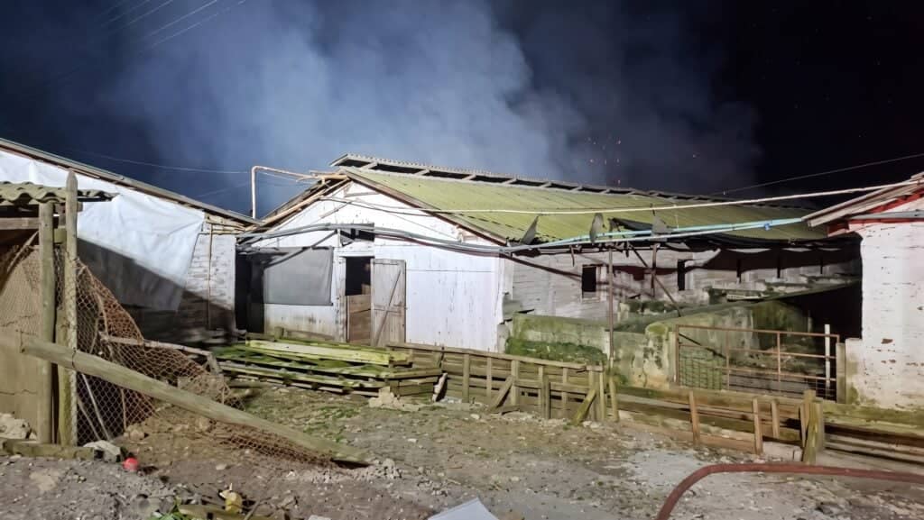 Labocar de Carabineros asume peritajes por incendio que provocó la muerte de cuatro mil cerdos en Los Niches