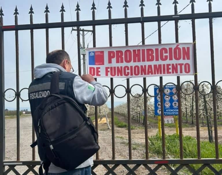 Decretan prohibición de funcionamiento a huerto frutícola por manejo irregular de guano en sector Maquehua