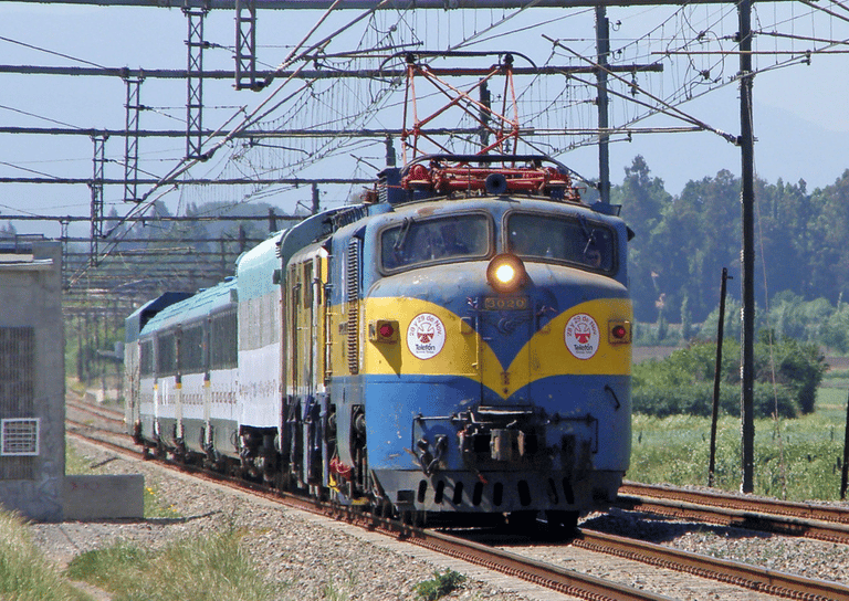 Tren de la Teletón atropelló a peatón en Talca