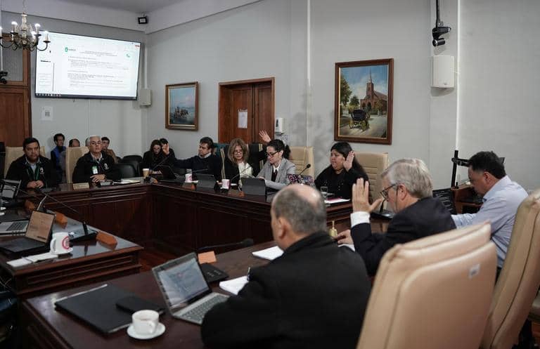 Concejo municipal de Curicó aprobó importante subvención a Fundación Las Rosas