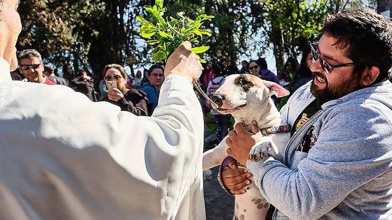 Invitan a tradicional bendición de mascotas en la Gruta de Lourdes para celebrar la Fiesta de San Francisco