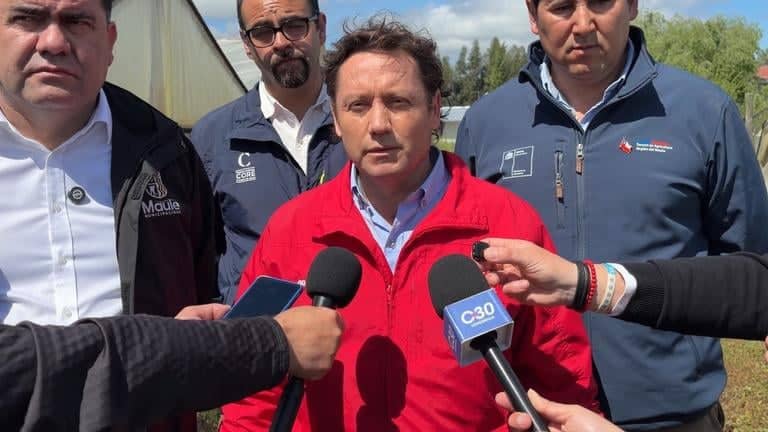 Gobernador del Maule solicita declarar zona de emergencia agrícola tras histórica caída de granizos