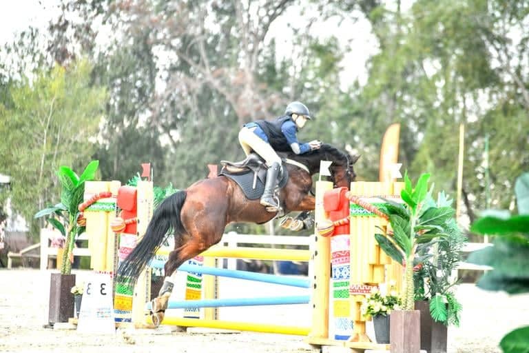 Nominan a Francisco Azócar Lozano de Curicó a la selección nacional de equitación