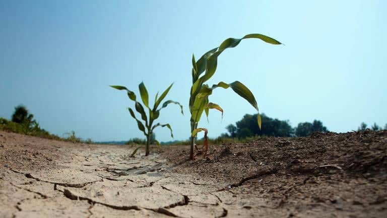 Fenómeno de El Niño: Experto advierte que lluvias no terminan con la megasequía