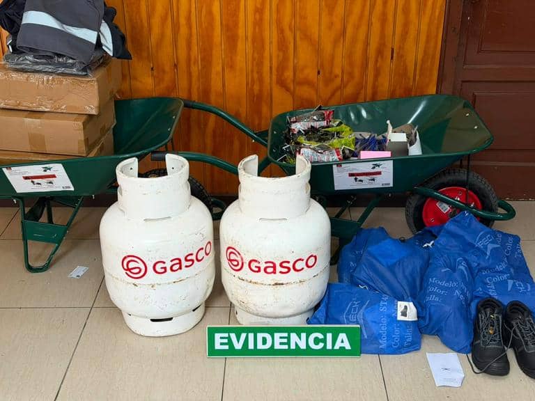 Carabineros detiene a individuo tras millonario robo en oficinas de Conaf en Curicó