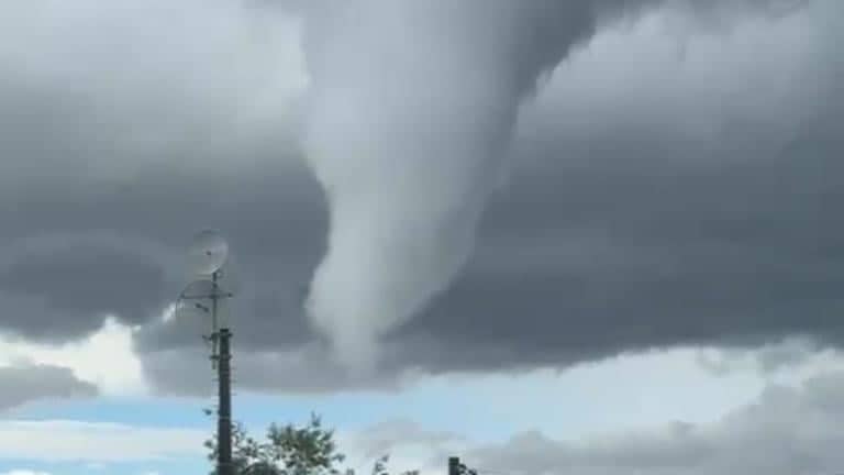 Confirman la ocurrencia de un tornado en Retiro que provocó daños y caída de árboles