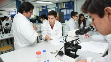 La ciencia sale a la calle: Congreso internacional de acarología llega a la plaza de armas de Curicó
