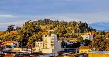 Lanzarán edición especial del libro "Historia de Curicó" en el marco del Día Internacional del Libro