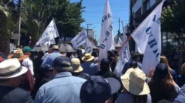 Municipalidad de Curicó informa sobre funcionamiento de servicios de salud durante paro nacional