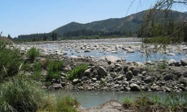 Junta de Vigilancia: Disminución de caudal provoca restricción para extraer agua del Río Lontué