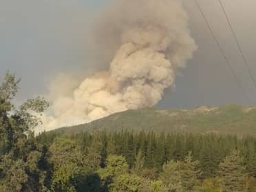 Onemi: Incendio forestal en Molina ha consumido más de 3.000 hectáreas
