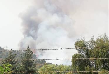 Onemi entrega catastro del incendio forestal activo en Huemul
