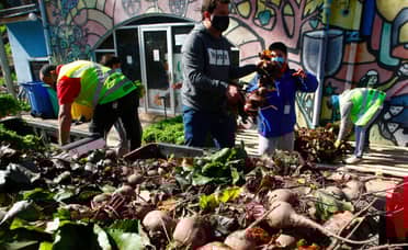 COPACHS realizó donación de frutas y verduras a "cocinas solidarias" de Curicó