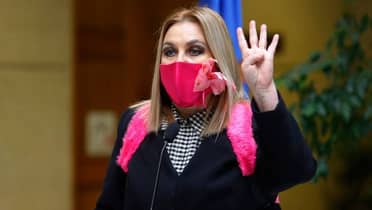 Diputada Pamela Jiles presentó el cuarto proyecto de retiro de fondos previsionales