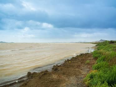 Mar Menor: historia de un colapso ambiental que pudo haberse evitado