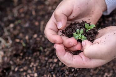 Municipio de Curicó conforma mesa intersectorial para proyecto de Granja Educativa Agroecológica