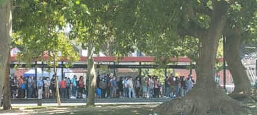Votantes acusan falta de transporte público para ir a sufragar