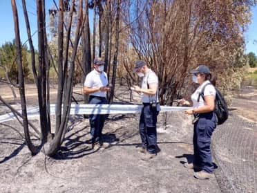 Incendios en Cauquenes fueron controlados y se mantiene alerta amarilla por condiciones climáticas