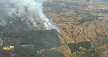 Incendios en Cauquenes han afectado más de mil hectáreas