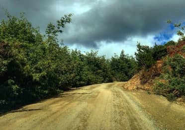 Dirección de Vialidad inició trabajos en la Ruta J-80 que une a La Higuera con Llico