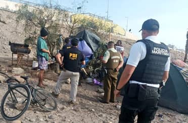Detienen a cuatro sujetos que asaron a un lobo marino en Arica