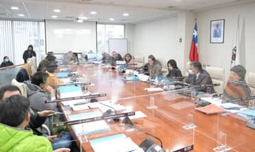 CORE del Maule aprobó $4 mil 800 millones para renovar transporte público