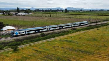 Hombre fallece atropellado por tren al norte de Curicó